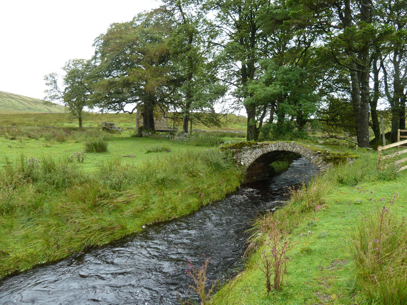 Scale Bridge